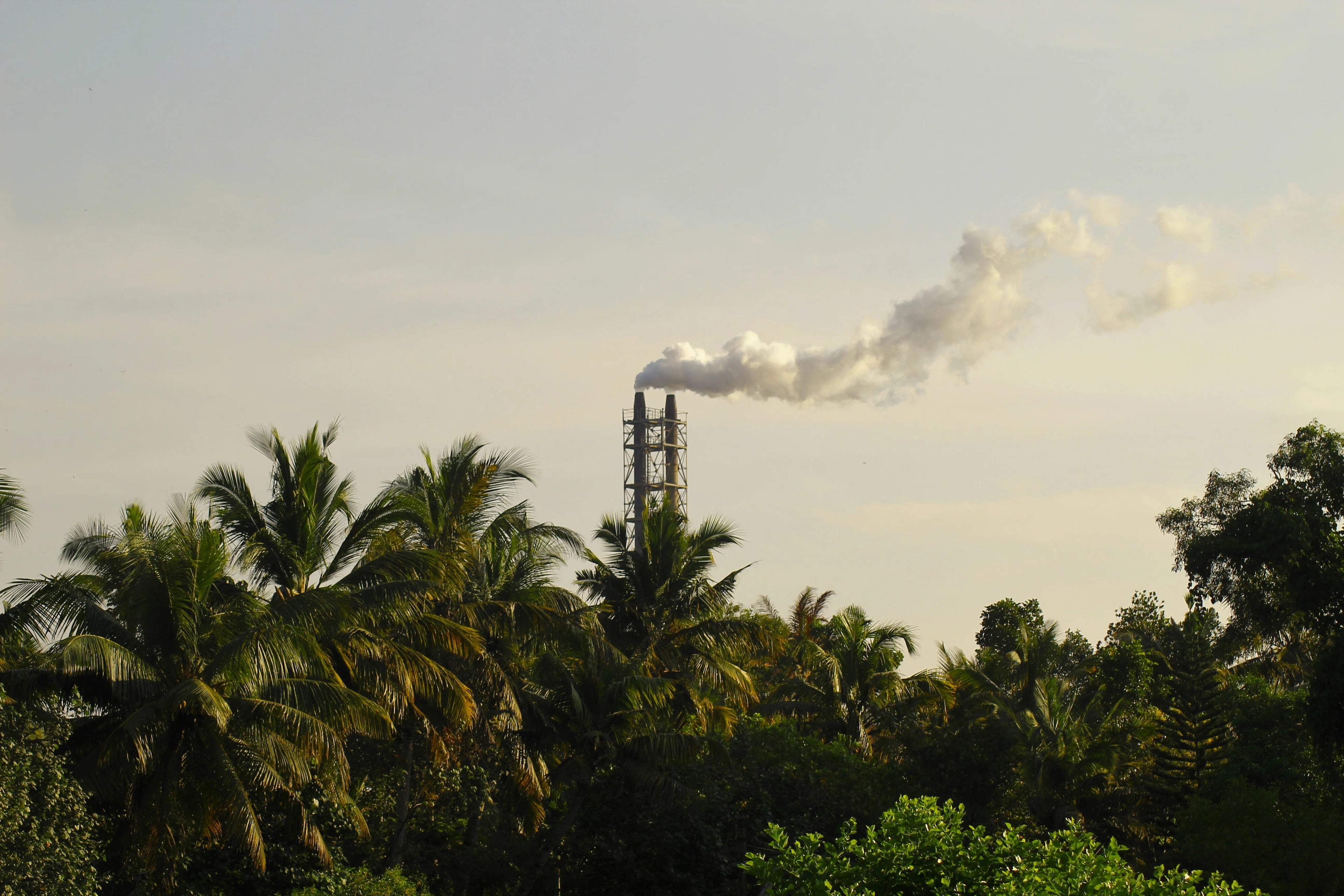 Industrial smokestack emitting plume above tropical tree line — the stakes of environmental due diligence.