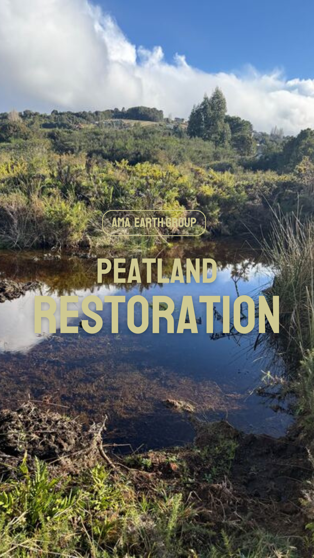 Mapuche Tribe restoration project