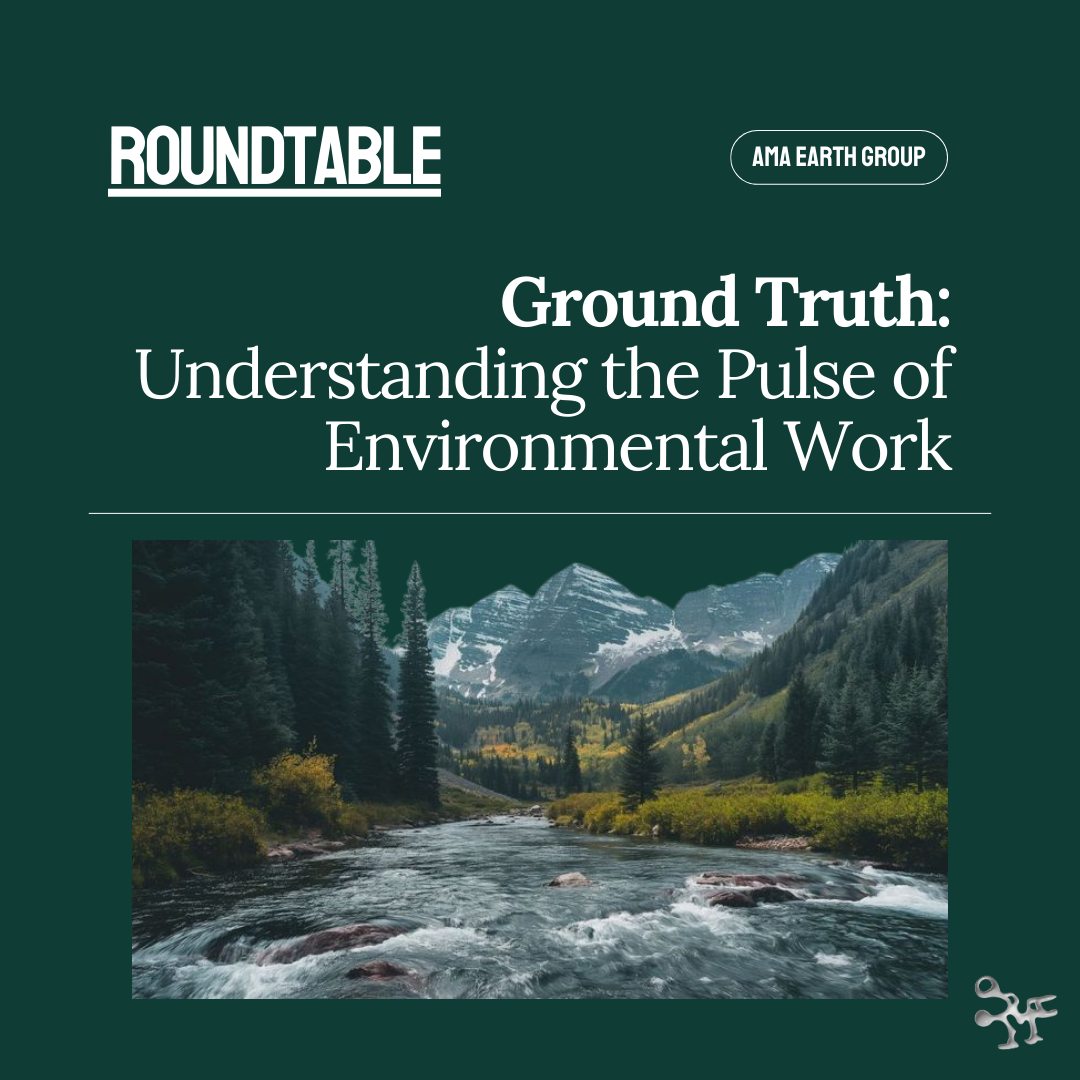 Environmental professionals roundtable discussion