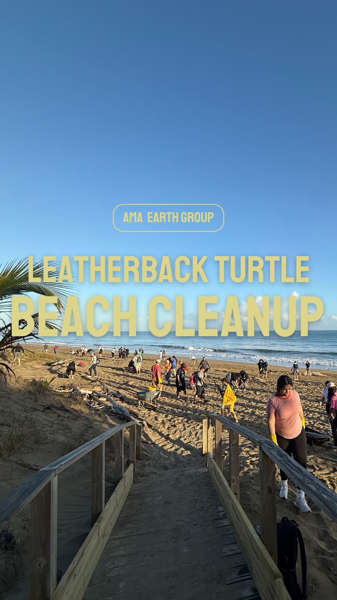 Turtle cleanup and restoration project